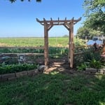 Arbor