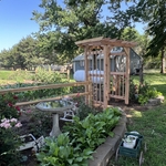 Arbor