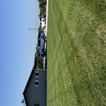 Yard at the side of the store