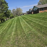 Grass