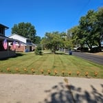 Leaf removal