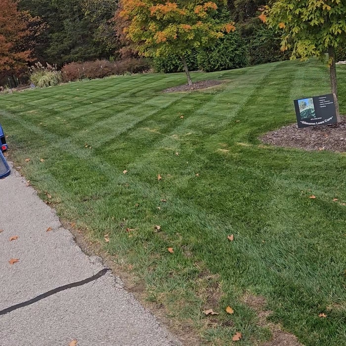 Leaf removal