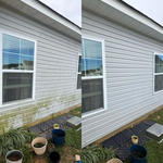 Siding Algae Removal