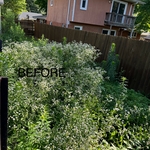 Garden Before Removal