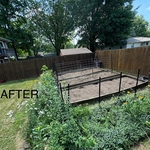 Garden After Removal