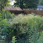 Garden Before Removal