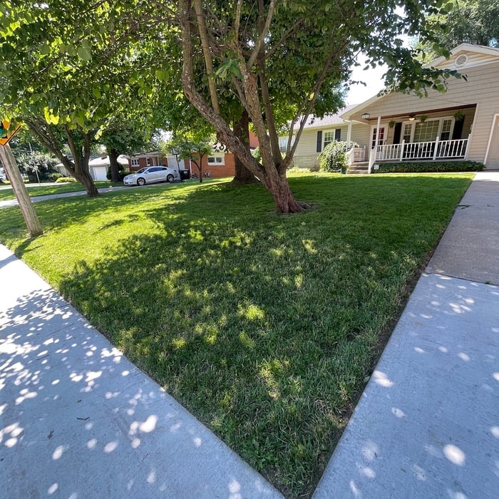 Lawn Maintenance After