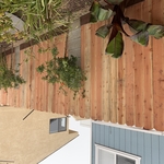Redwood Fence