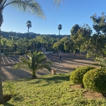 Concrete Pour