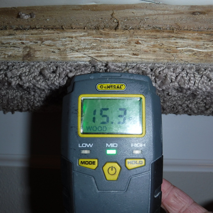 Moisture reading