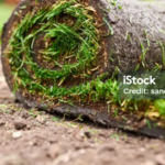 Sod Installation