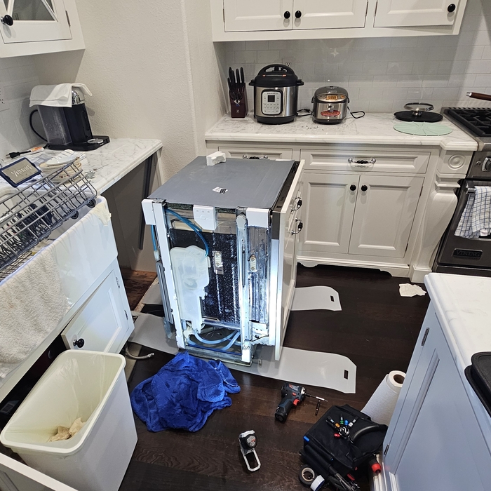 Dishwasher Repair