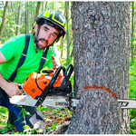Tree service