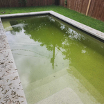 Central TX Algae Recovery