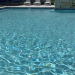 Poolie's Happy Tribe