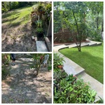 Before/After
