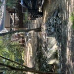 New fence and gate before sod
