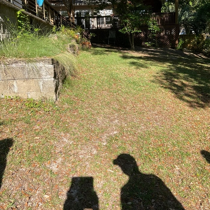 Before sidewalk at end of new sidewalk