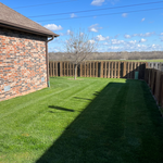 Basic Lawn Care