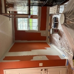 Full house repaint
