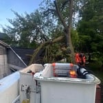 Removals
