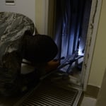 Roach Inspection