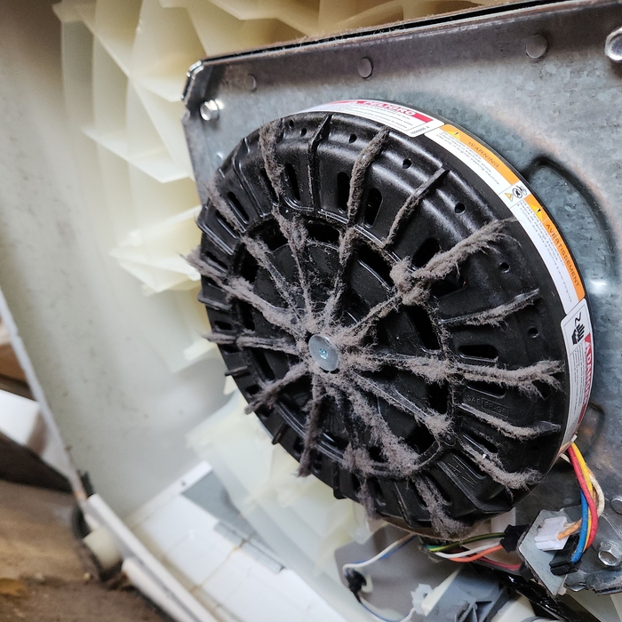 Dryer Repair