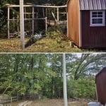 Back yard clean up