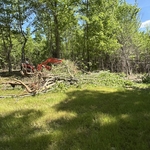 Brush clearing