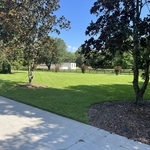 Lawn Maintenance