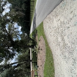 Raised Bed, custom sign and customer purchased pla