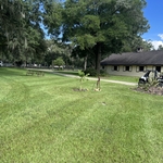 Lawn Striping