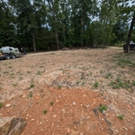 Before Soil conditioning