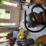 Deep clean pet hair off rug