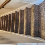 Steps with pet hair