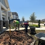 Landscaping