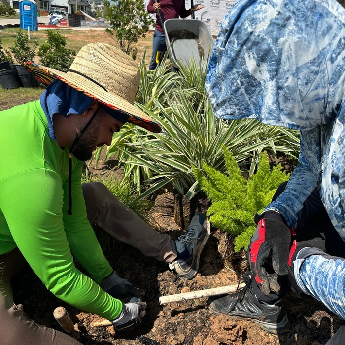 Landscaping