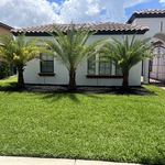 Moe’s house