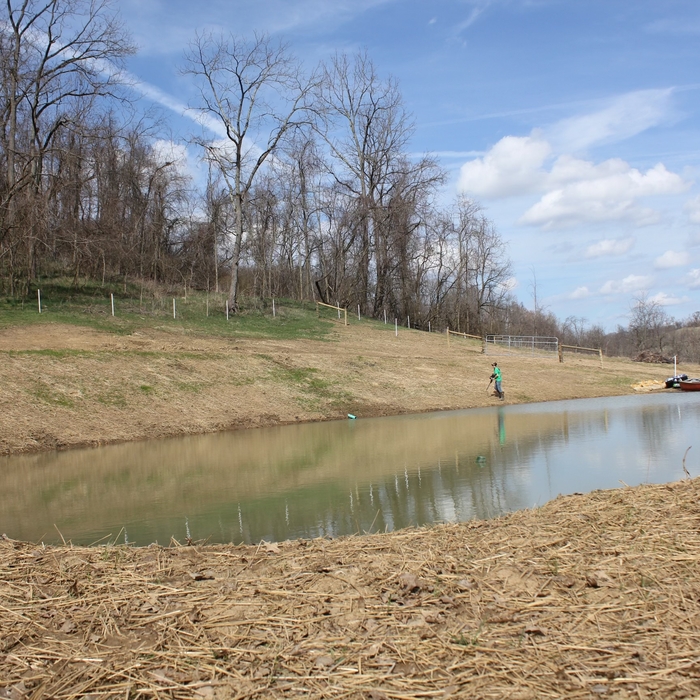Excavation- Pond