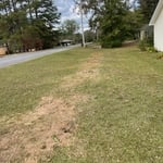 5 Bushes and stumps removed.