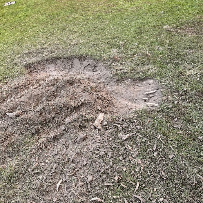Stump to stump, dirt to dirt