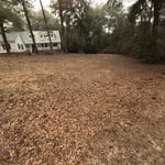 Before Leaf Removal