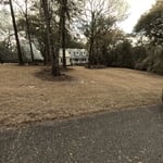 After Leaf Removal