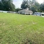Leaf Removal