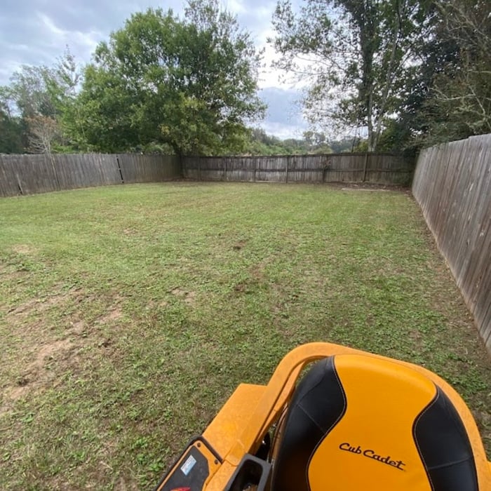 Leaf Removal