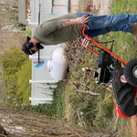 Cape Cod Stump & Snow LLC