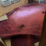 Carpet removal