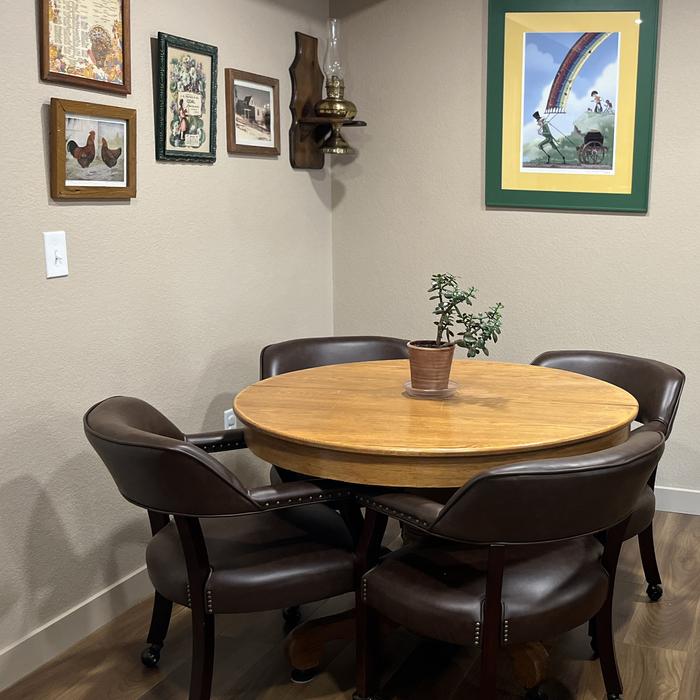 Casual Basement Upgrade