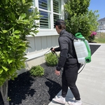 Exterior Spray