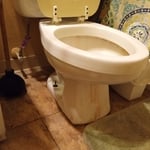 Regular Clean for toilet